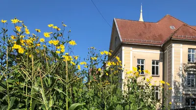Nytt liv i gamle Mesterfjellet skole