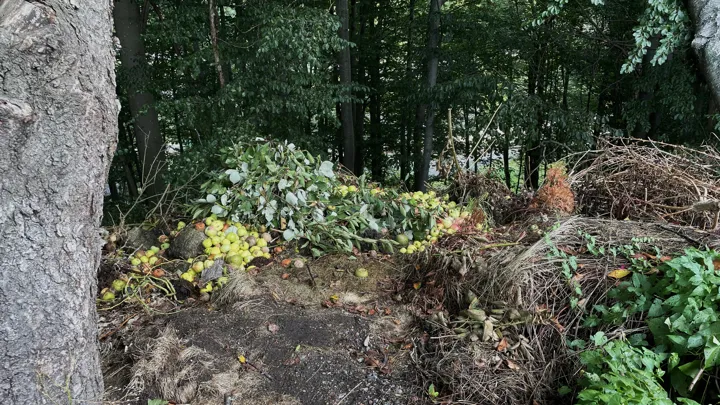 Hageafall som er dumpet i naturen.JPG