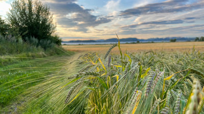 Velkommen til eierskiftekurs i Sliperiet