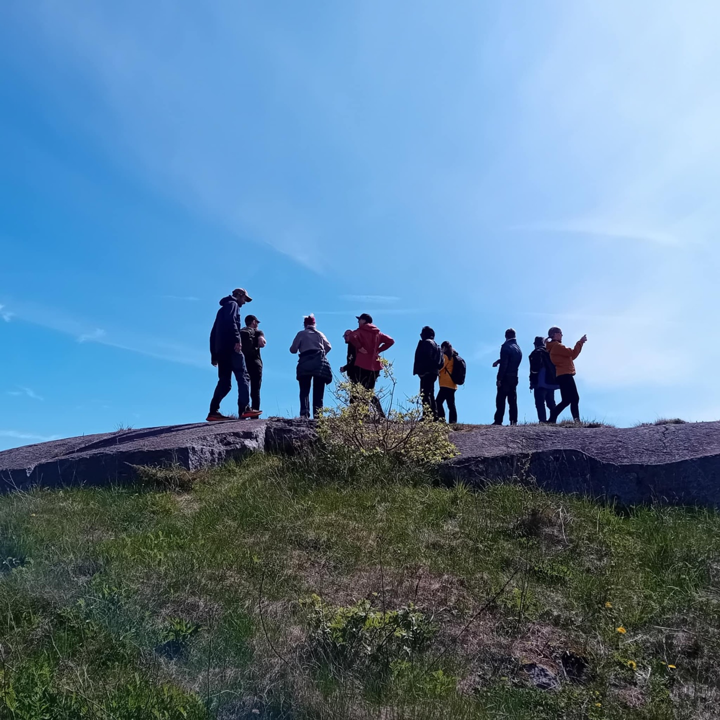 Bilde av gruppe mennesker ute på toppen av en knaus