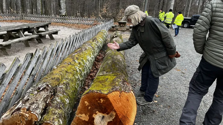 Lekeplass Bøkeskogen 5