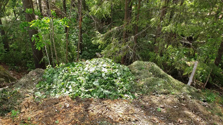 Hageavfall I Naturen